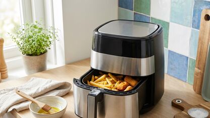 Kan de airfryer de frituurpan vervangen?
