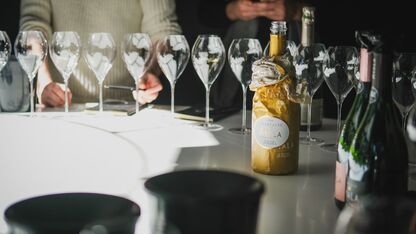 Zo kies je een champagne die top is in plaats van plop