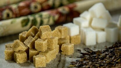 Dit wil je weten over stevia, zoetstoffen en andere suikervervangers