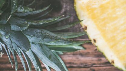 Helpt ananas echt na een zware maaltijd?