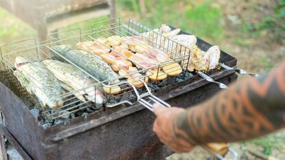 Zo gebruik je mayonaise als marinade voor vlees en vis