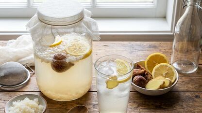 Zelf waterkefir maken met citroen en vijg